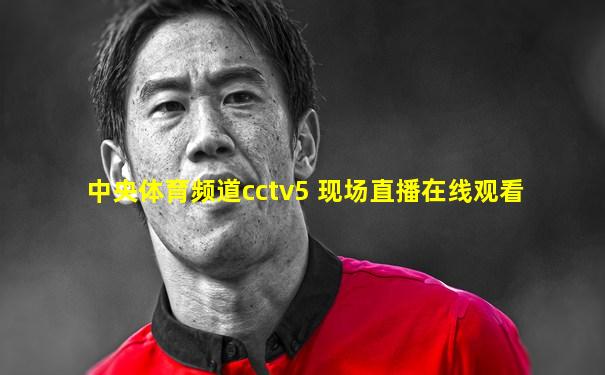 中央体育频道cctv5 现场直播在线观看